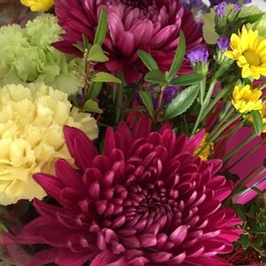 Meet your Posher, Mari